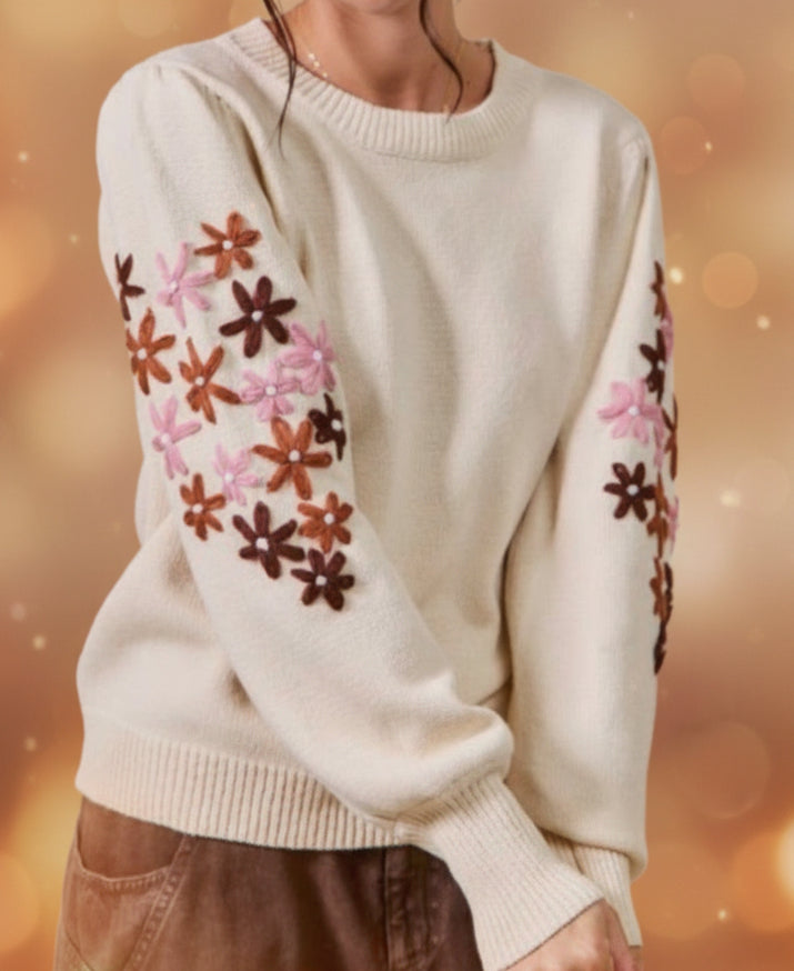 Floral Embroidered Sleeves Sweater Pull Over Top