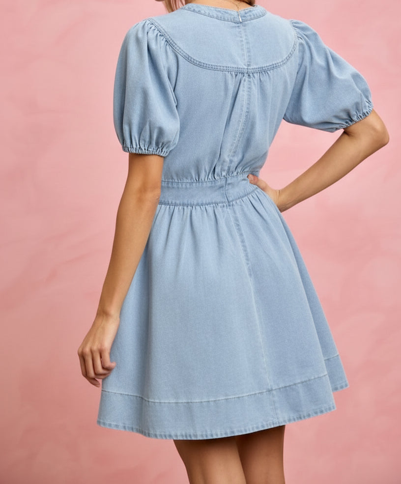 Button Short Sleeves Fit Flare Denim Mini Dress